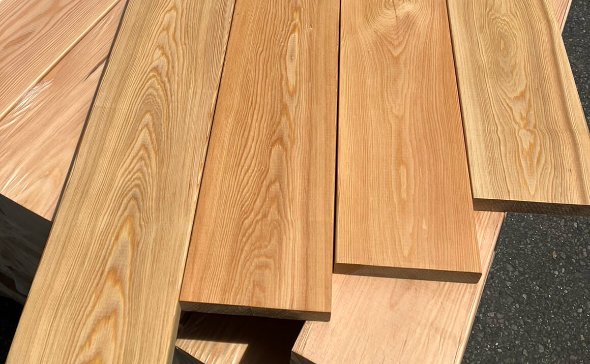 唐松（カラマツ）